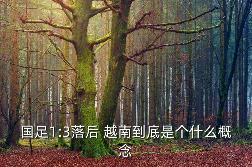 中國(guó)越南足球交鋒歷史,印度尼西亞vs越南足球歷史比分