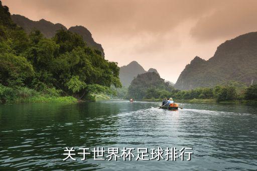 俄羅斯和瑞典足球隊(duì),瑞典國(guó)家足球隊(duì)世界排名