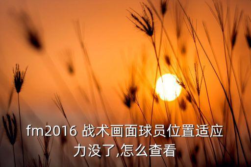 fm2016 戰(zhàn)術(shù)畫面球員位置適應(yīng)力沒了,怎么查看