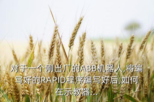 對于一個剛出廠的ABB機器人,將編寫好的RAPID程序編寫好后,如何在示教器...