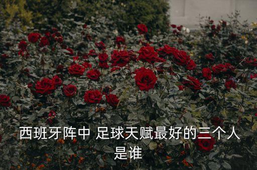 西班牙踢足球最有名,踢足球比較有名的球星