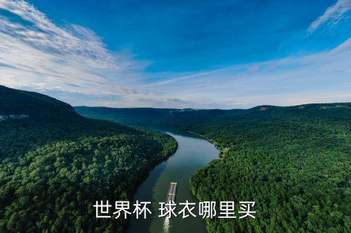 正版足球球衣在哪買(mǎi),一件正版足球球衣多少錢(qián)