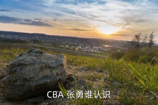CBA 張勇誰認識