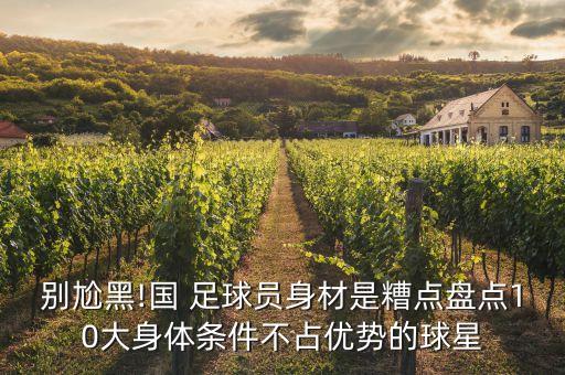 別尬黑!國(guó) 足球員身材是糟點(diǎn)盤(pán)點(diǎn)10大身體條件不占優(yōu)勢(shì)的球星