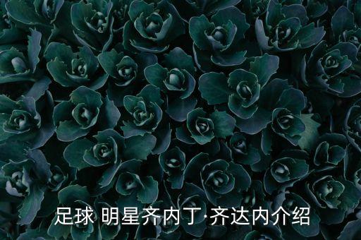  足球 明星齊內(nèi)丁·齊達(dá)內(nèi)介紹