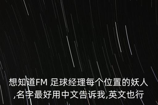 想知道FM 足球經(jīng)理每個(gè)位置的妖人,名字最好用中文告訴我,英文也行