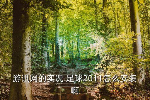 游訊網(wǎng)的實況 足球2011怎么安裝啊