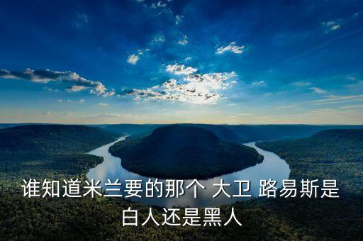 誰知道米蘭要的那個 大衛(wèi) 路易斯是白人還是黑人