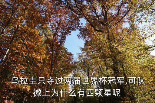  烏拉圭只奪過(guò)兩屆世界杯冠軍,可隊(duì)徽上為什么有四顆星呢