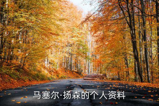 門(mén)興格拉德巴赫足球俱樂(lè)部的球員及遞交什么,歐冠門(mén)興格拉德巴赫足球俱樂(lè)部