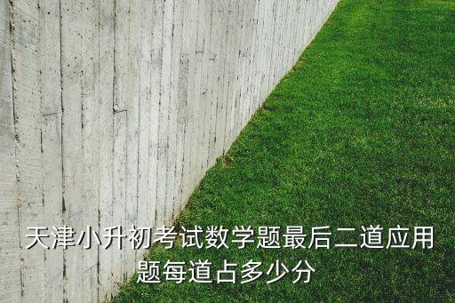  天津小升初考試數學題最后二道應用題每道占多少分