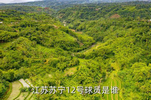 江蘇蘇寧12號球員是誰