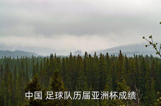 中國(guó) 足球隊(duì)歷屆亞洲杯成績(jī)