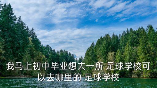我馬上初中畢業(yè)想去一所 足球?qū)W?？梢匀ツ睦锏?足球?qū)W校