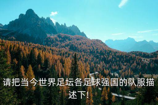請(qǐng)把當(dāng)今世界足壇各足球強(qiáng)國(guó)的隊(duì)服描述下!