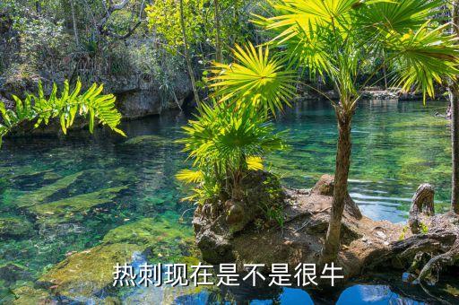 足球抄盤手,股市操盤手是什么