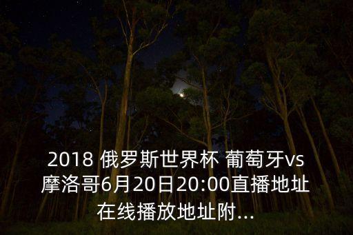 足球葡萄牙對俄羅斯,瑞士和葡萄牙足球哪個厲害