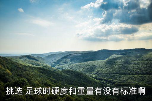 挑選 足球時(shí)硬度和重量有沒有標(biāo)準(zhǔn)啊