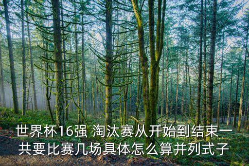 世界杯16強(qiáng) 淘汰賽從開始到結(jié)束一共要比賽幾場(chǎng)具體怎么算并列式子