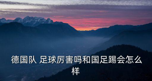  德國(guó)隊(duì) 足球厲害嗎和國(guó)足踢會(huì)怎么樣