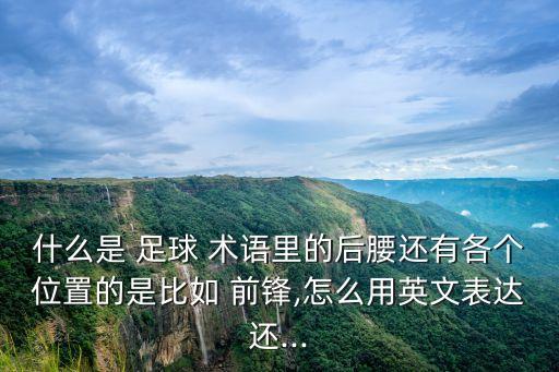 什么是 足球 術(shù)語(yǔ)里的后腰還有各個(gè)位置的是比如 前鋒,怎么用英文表達(dá)還...