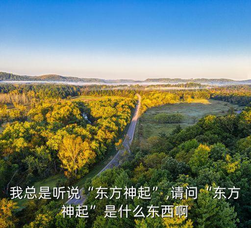 我總是聽說“東方神起”,請問“東方神起”是什么東西啊