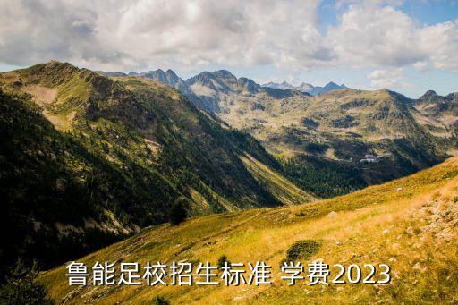 沈陽足球?qū)W校學(xué)費多少,足球?qū)W校一年學(xué)費多少錢