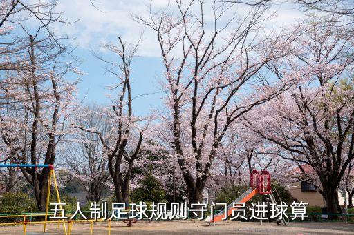  五人制足球規(guī)則守門員進(jìn)球算