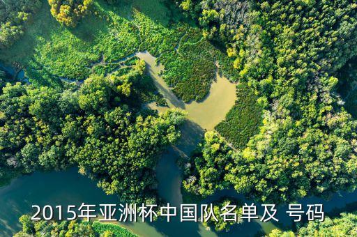 2015年亞洲杯中國(guó)隊(duì)名單及 號(hào)碼