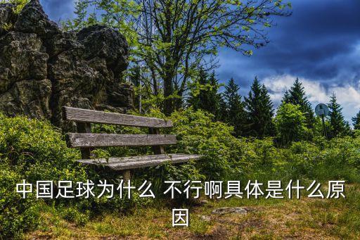 中國足球隊(duì)不行,2002年中國足球隊(duì)陣容