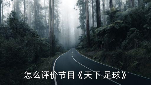 怎么評價節(jié)目《天下 足球》