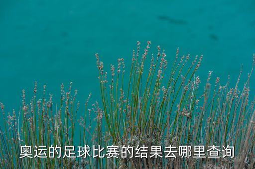 上海足球賽中票網(wǎng)