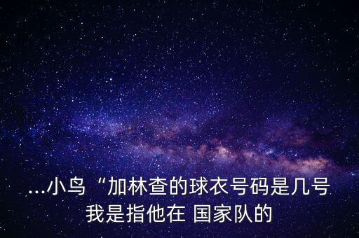 ...小鳥“加林查的球衣號(hào)碼是幾號(hào)我是指他在 國(guó)家隊(duì)的