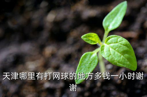 天津哪里有打網(wǎng)球的地方多錢一小時謝謝