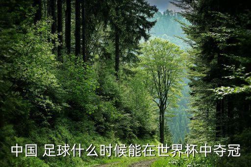 中國 足球什么時候能在世界杯中奪冠