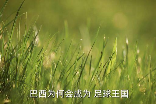  巴西為何會(huì)成為 足球王國