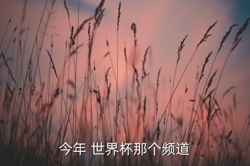 今年 世界杯那個(gè)頻道