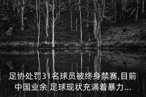 足協(xié)處罰31名球員被終身禁賽,目前中國(guó)業(yè)余 足球現(xiàn)狀充滿著暴力...