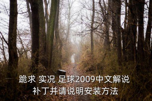 跪求 實(shí)況 足球2009中文解說 補(bǔ)丁并請說明安裝方法