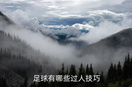 足球過人入門,足球彩虹過人教學