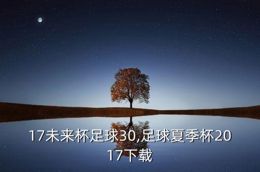 2017未來杯足球30,足球夏季杯2017下載
