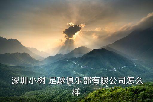 深圳龍崗兒童足球培訓(xùn),天津兒童足球培訓(xùn)哪個(gè)好