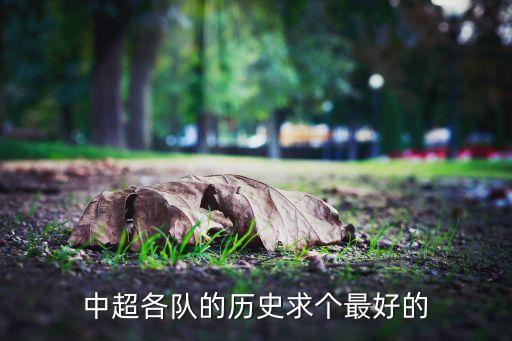 中超各隊(duì)的歷史求個(gè)最好的
