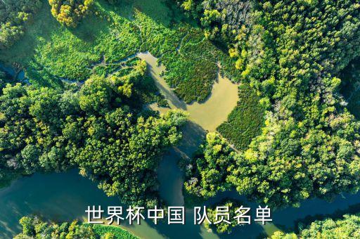 世界杯中國 隊員名單