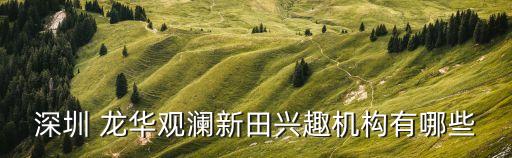 深圳 龍華觀瀾新田興趣機(jī)構(gòu)有哪些