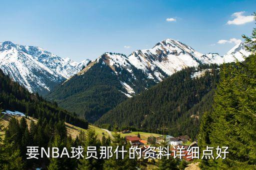 要NBA球員那什的資料詳細(xì)點(diǎn)好