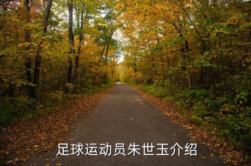 青島足球隊員名單,阿根廷足球隊員名單