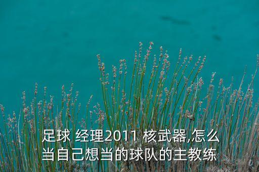  足球 經(jīng)理2011 核武器,怎么當自己想當?shù)那蜿牭闹鹘叹? class=