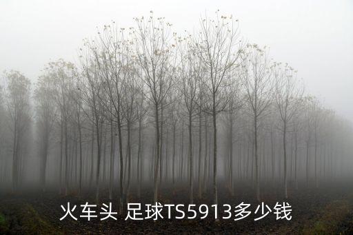 火車(chē)頭 足球TS5913多少錢(qián)