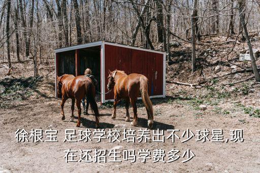 上海兒童足球俱樂(lè)部